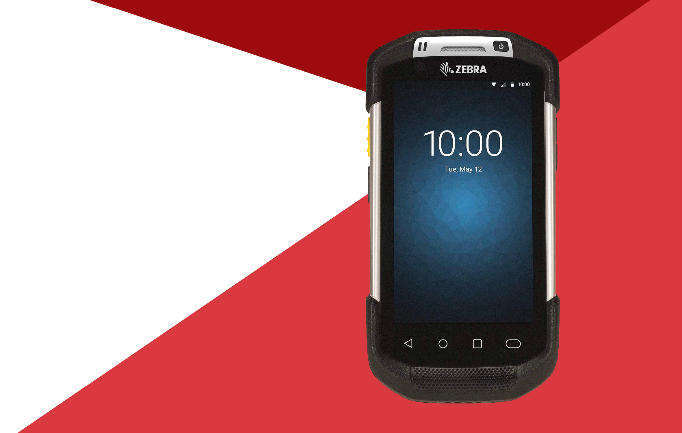 Lektor palmare img banner